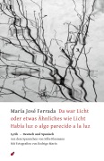 Cover-Bild zum Titel 'Da war Licht oder etwas Ähnliches wie Licht / Había luz o algo parecido a la luz' von 'María José Ferrada'