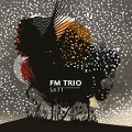 Cover-Bild zum Titel 'Satt' von 'FM Trio'