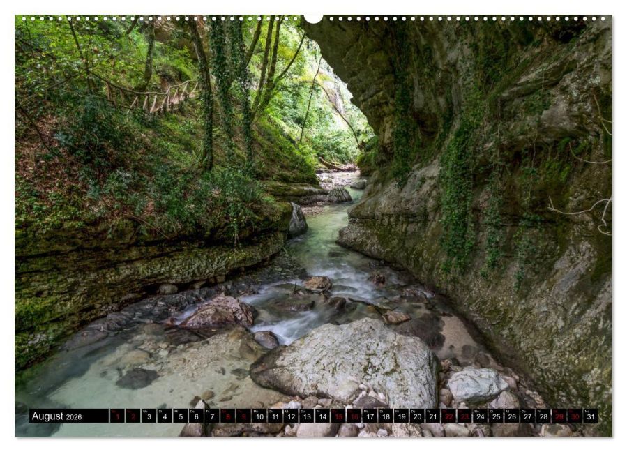 InsideView 12