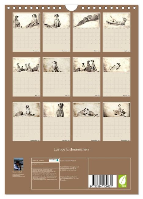 InsideView 5