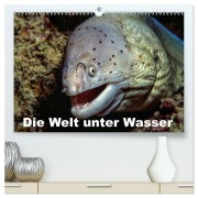 Cover-Bild zum Titel 'Die Welt unter Wasser (hochwertiger Premium Wandkalender 2026 DIN A2 quer), Kunstdruck in Hochglanz' von 'Dieter Gödecke'