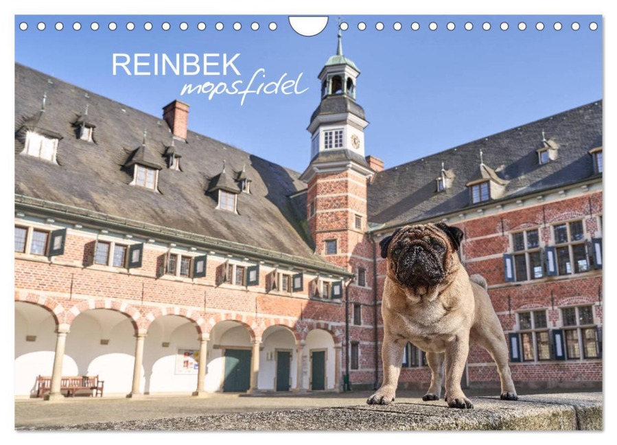 Reinbek mopsfidel (Wandkalender 2026 DIN A4 quer), CALVENDO Monatskalender - Ole und Julia Dodeck
