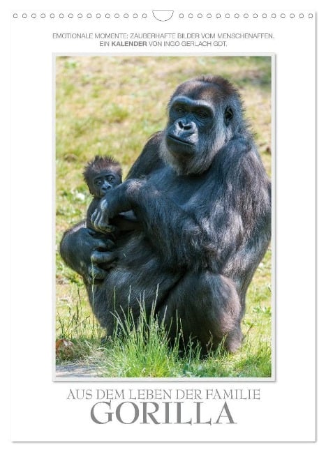 Emotionale Momente: Aus dem Leben der Familie Gorilla. (Wandkalender 2024 DIN A3 hoch), CALVENDO Monatskalender - Ingo Gerlach GDT