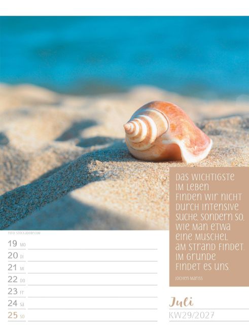 InsideView 33