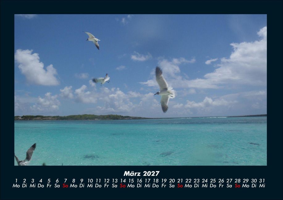InsideView 7