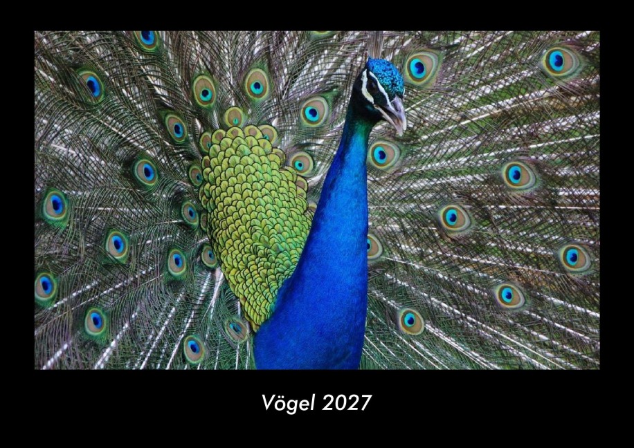 Vögel 2027 Fotokalender DIN A3 - Tobias Becker