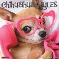 Chihuahua Rules 2024 12 X 12 Wall Calendar - Willow Creek Press