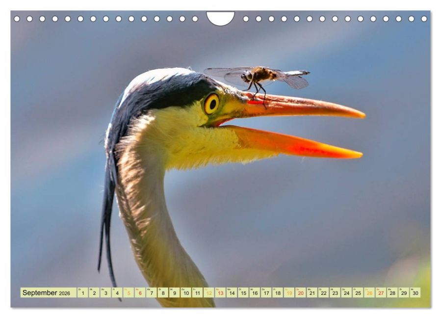 InsideView 14