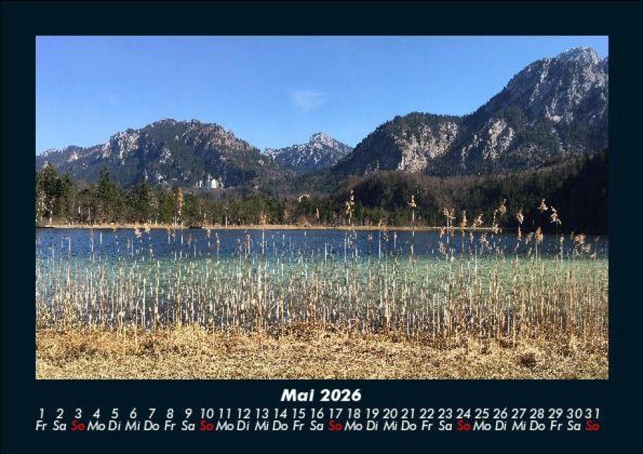 InsideView 9