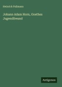 Cover-Bild zum Titel 'Johann Adam Horn, Goethes Jugendfreund' von 'Heinrich Pallmann'