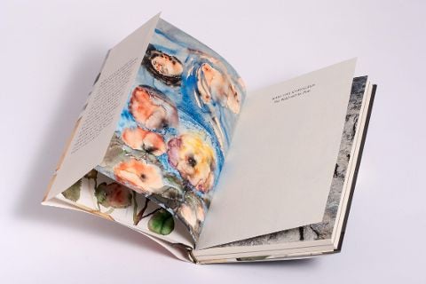 InsideView 4