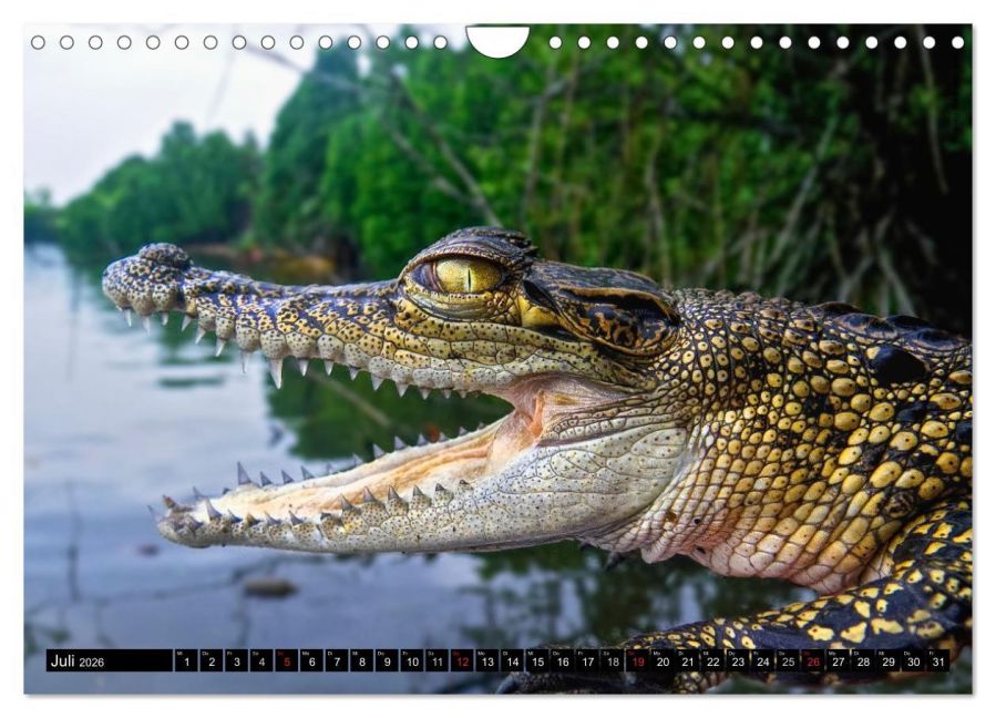 InsideView 12