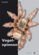 Vogelspinnen - Søren Rafn