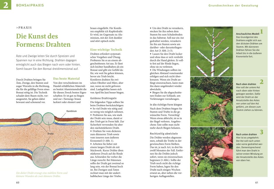 InsideView 4