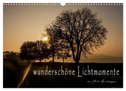 wunderschöne Lichtmomente (Wandkalender 2026 DIN A3 quer), CALVENDO Monatskalender - Julia Vornberger