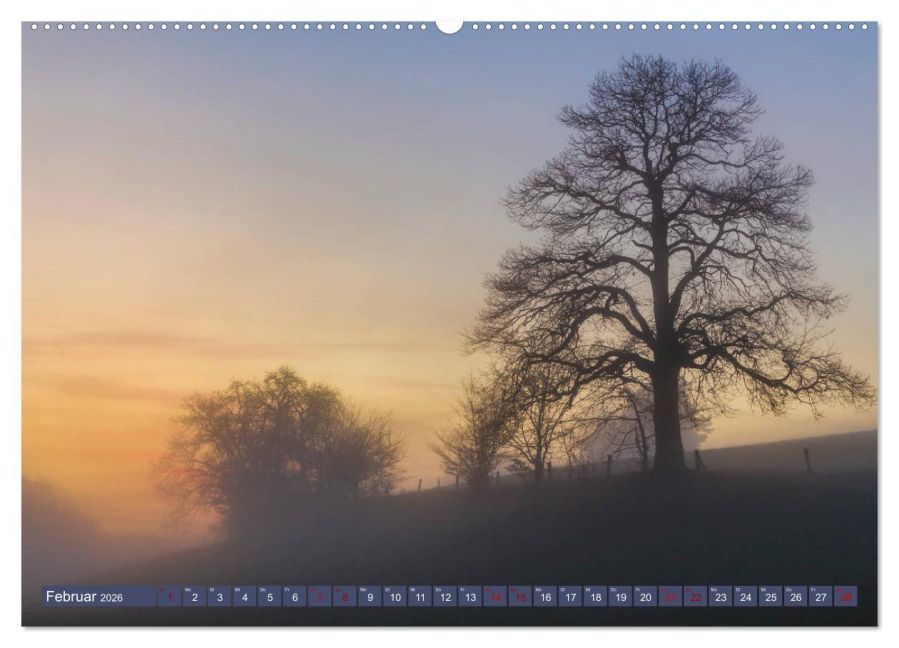 InsideView 7
