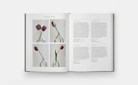 InsideView 5