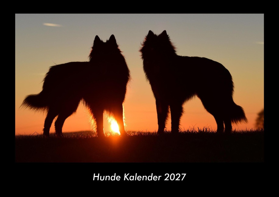 Hunde Kalender 2027 Fotokalender DIN A3 - Tobias Becker