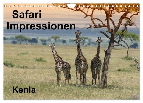 Safari Impressionen / Kenia (Wandkalender 2024 DIN A4 quer), CALVENDO Monatskalender - Susan Michel CH