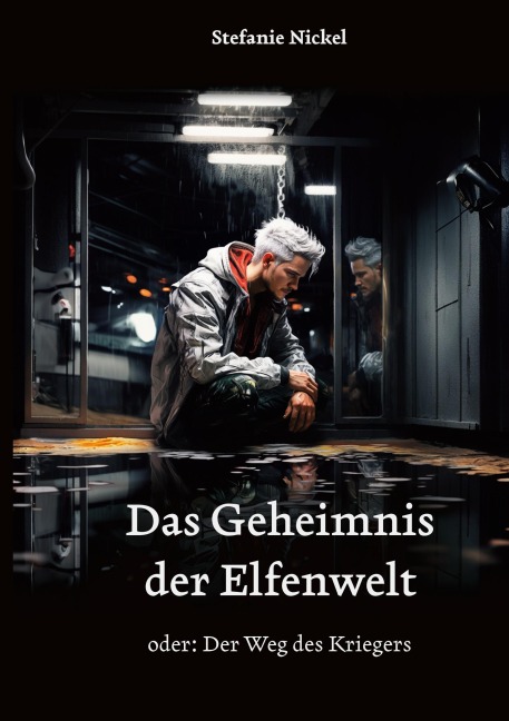 Das Geheimnis der Elfenwelt - Stefanie Nickel