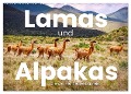Lamas und Alpakas - Die weichen Neuweltkamele. (Wandkalender 2024 DIN A2 quer), CALVENDO Monatskalender - Sf Sf