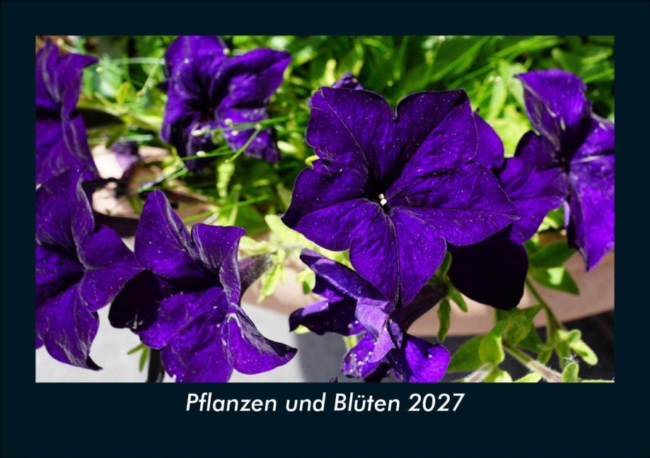 Pflanzen und Blüten 2027 Fotokalender DIN A5 - Tobias Schmitt, Kevin Heber