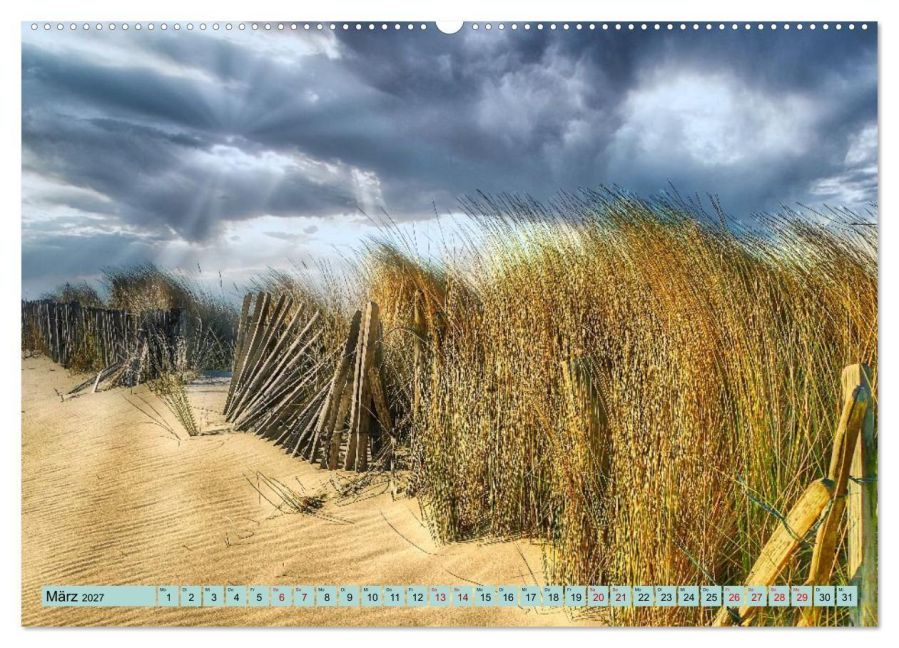 InsideView 8