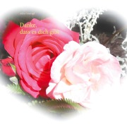 Cover-Bild zum Titel 'Danke, dass es dich gibt' von 'Adina Smaragd'