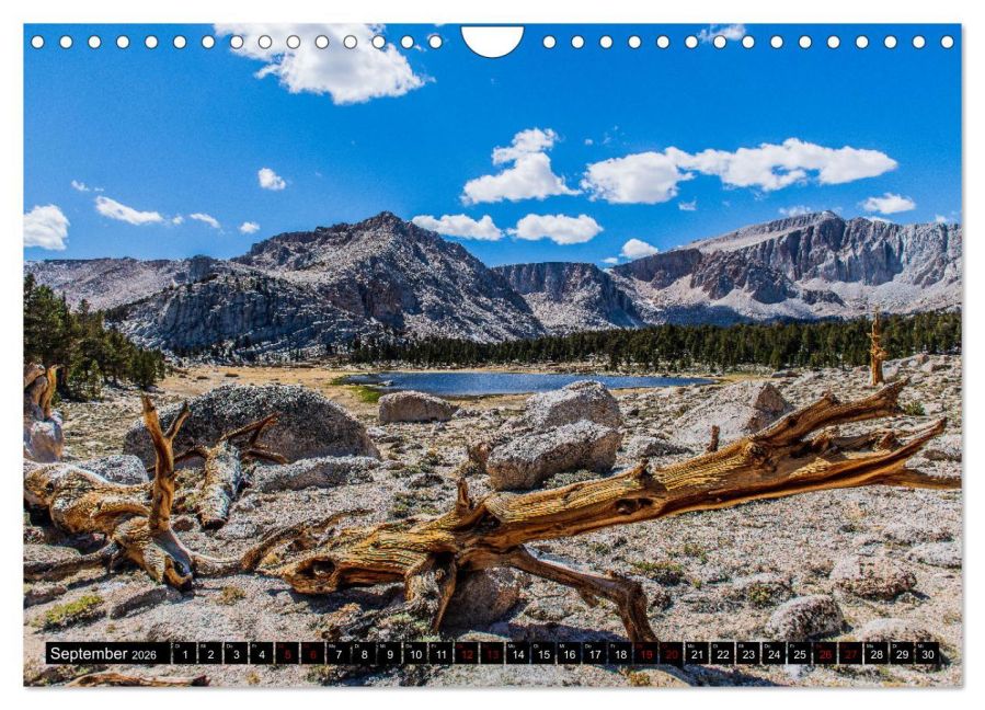 InsideView 14