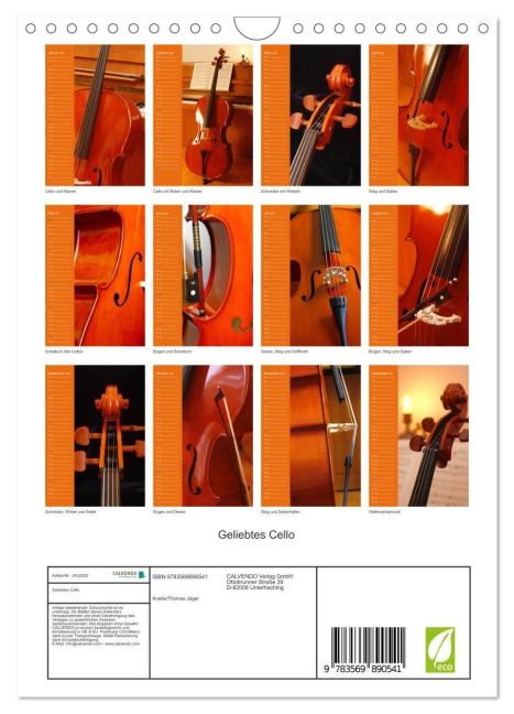InsideView 5
