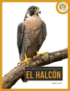 Cover-Bild zum Titel 'El Halcón' von 'Pamela Dell'