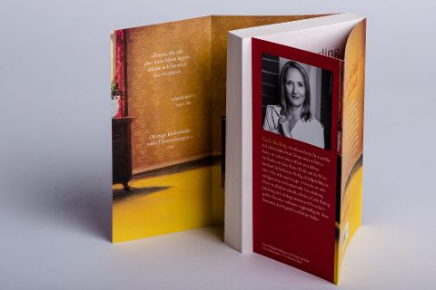 InsideView 2