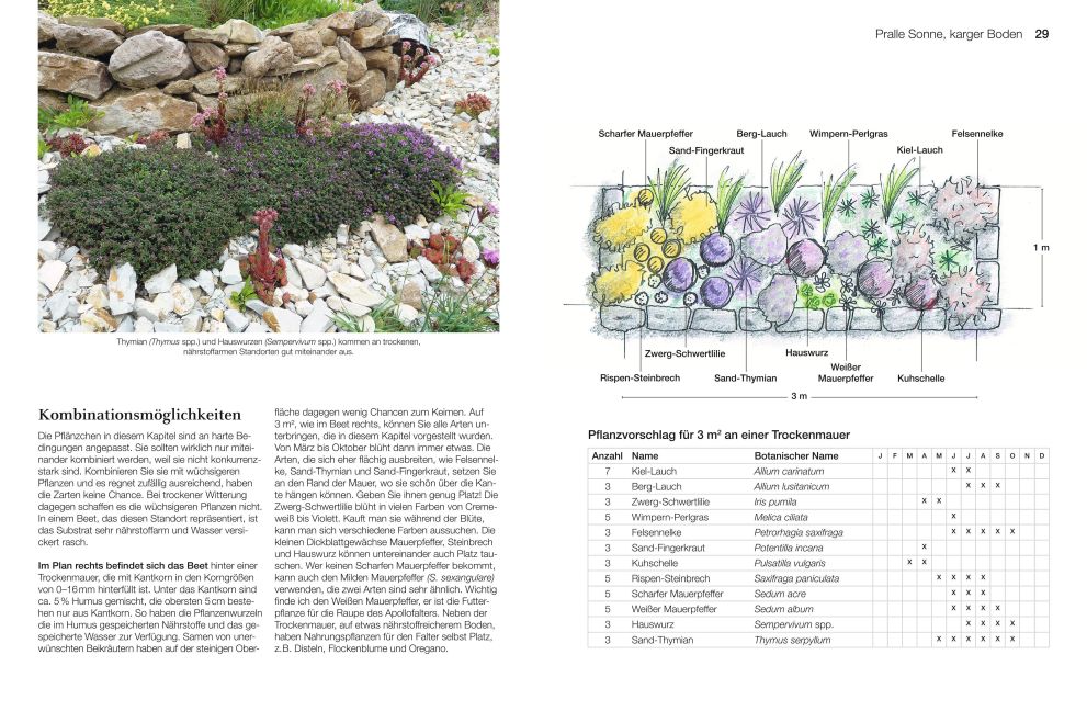 InsideView 6