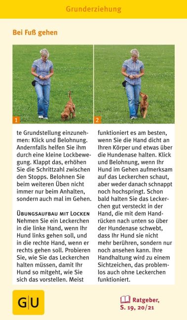InsideView 4