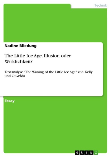 The Little Ice Age. Illusion oder Wirklichkeit? - Nadine Bliedung