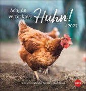 Cover-Bild zum Titel 'Hühner Postkartenkalender 2027 - Ach, du verrücktes Huhn!' von ''