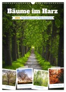 Cover-Bild zum Titel 'Bäume im Harz (Wandkalender 2026 DIN A3 hoch), CALVENDO Monatskalender' von 'Steffen Gierok-Latniak'