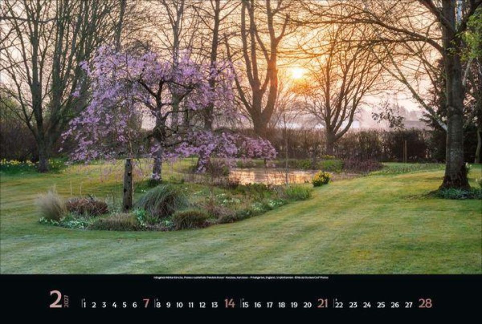 InsideView 2