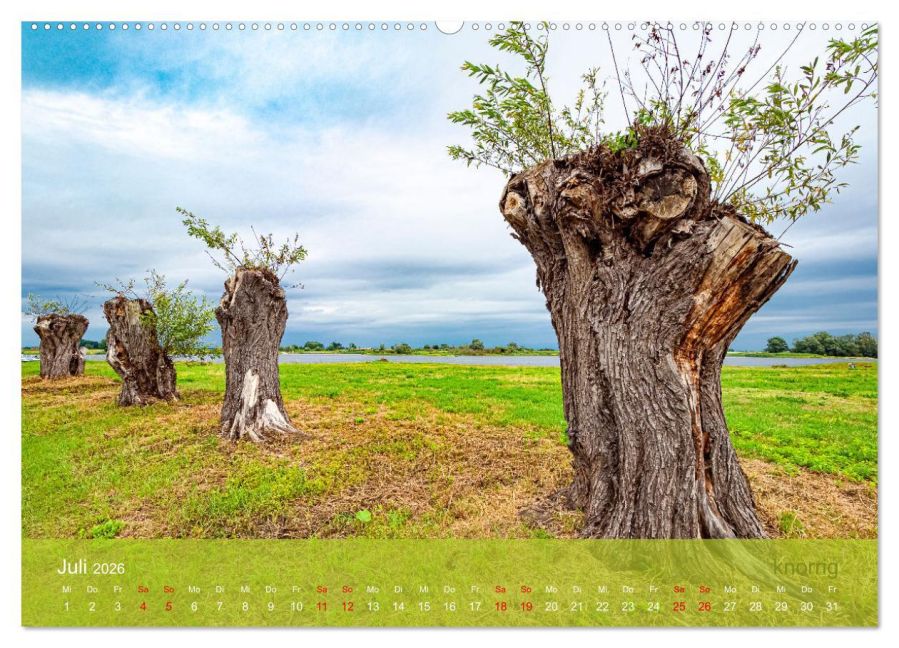 InsideView 12