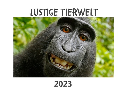 Lustige Tierwelt - Bibi Hübsch