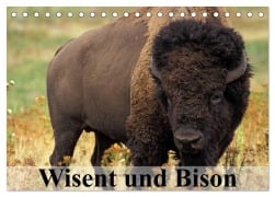 Cover-Bild zum Titel 'Wisent und Bison (Tischkalender 2026 DIN A5 quer), CALVENDO Monatskalender' von 'Elisabeth Stanzer'