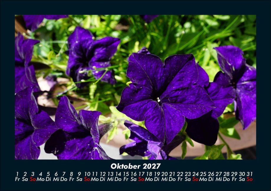 InsideView 2