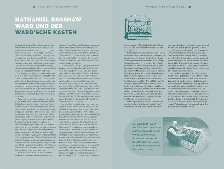 InsideView 3