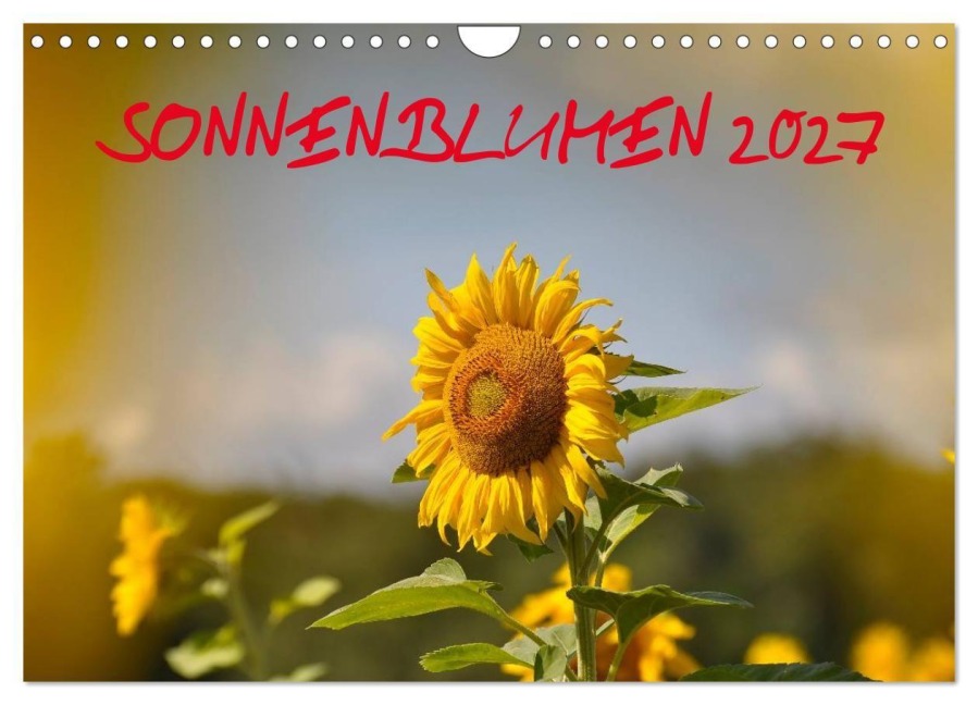 Sonnenblumen 2027 (Wandkalender 2027 DIN A4 quer), CALVENDO Monatskalender - Bildagentur Geduldig