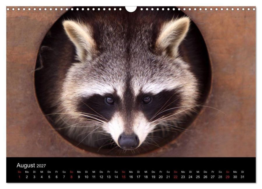 InsideView 13