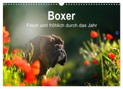 Cover-Bild zum Titel 'Boxer Frech und fröhlich durch das Jahr (Wandkalender 2026 DIN A3 quer), CALVENDO Monatskalender' von 'Yvonne Janetzek'