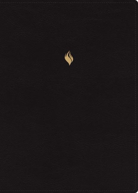 Rvr60, Biblia de Estudio de la Vida Plena, Edición Clásica, Leathersoft, Negro, Palabras de Jesús En Rojo, Comfort Print, Con Índice Y Cierre - Vida, Reina Valera Revisada