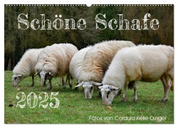 Schöne Schafe (Wandkalender 2025 DIN A2 quer), CALVENDO Monatskalender - Cordula Kelle-Dingel