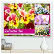 Cover-Bild zum Titel 'Stiefmütterchen Freundliche Gesichter (hochwertiger Premium Wandkalender 2026 DIN A2 quer), Kunstdruck in Hochglanz' von 'Gisela Kruse'