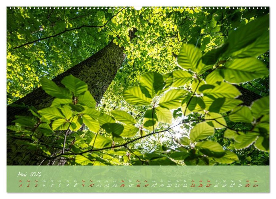InsideView 10